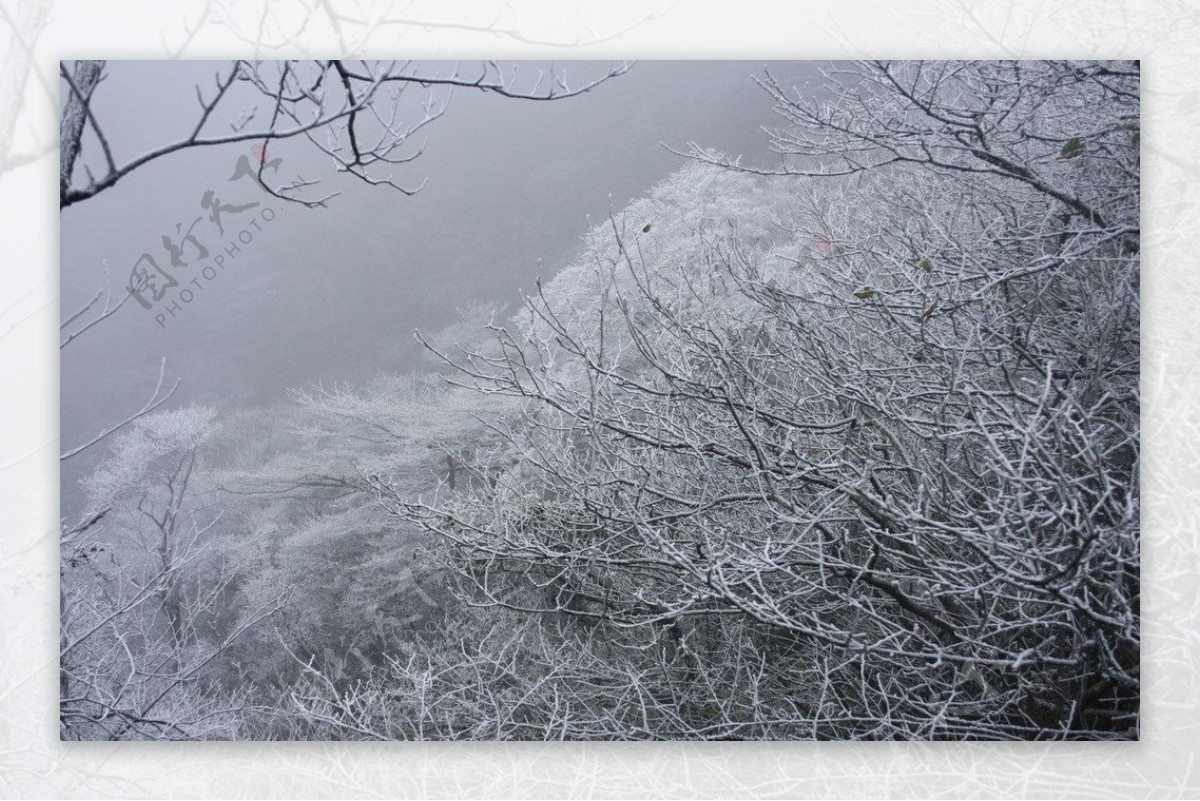 黄山雪景图片