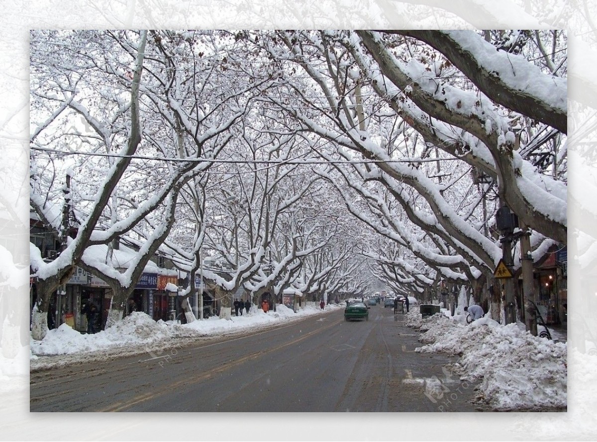 雨花西路雪景图片