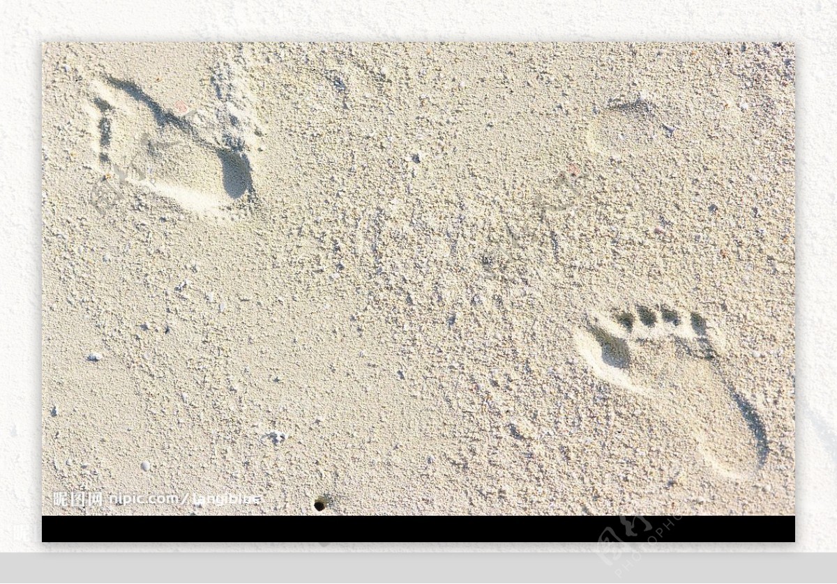 沙漠脚印图片素材-编号32543199-图行天下