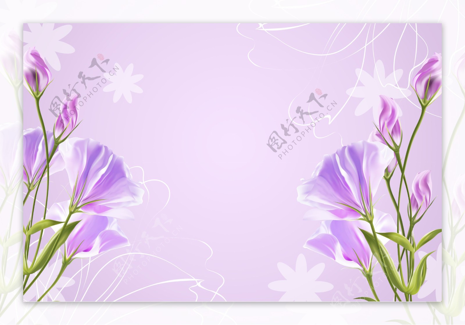 紫色花朵背景图片