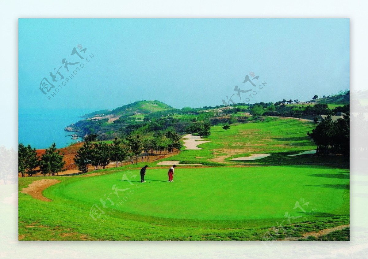 高尔夫球场半岛风光绿植园林大海岛图片