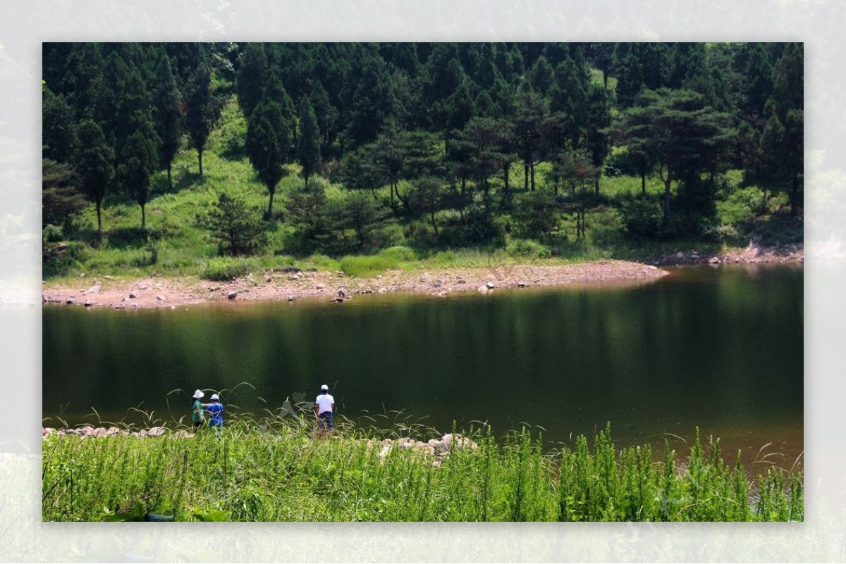 林场风光图片