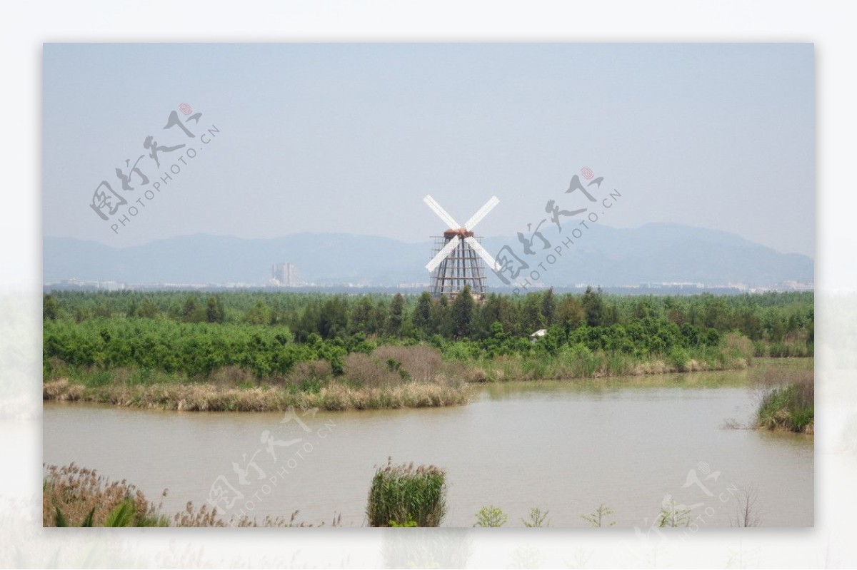 湿地风景图片