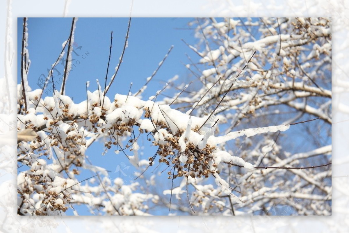 雪景图片