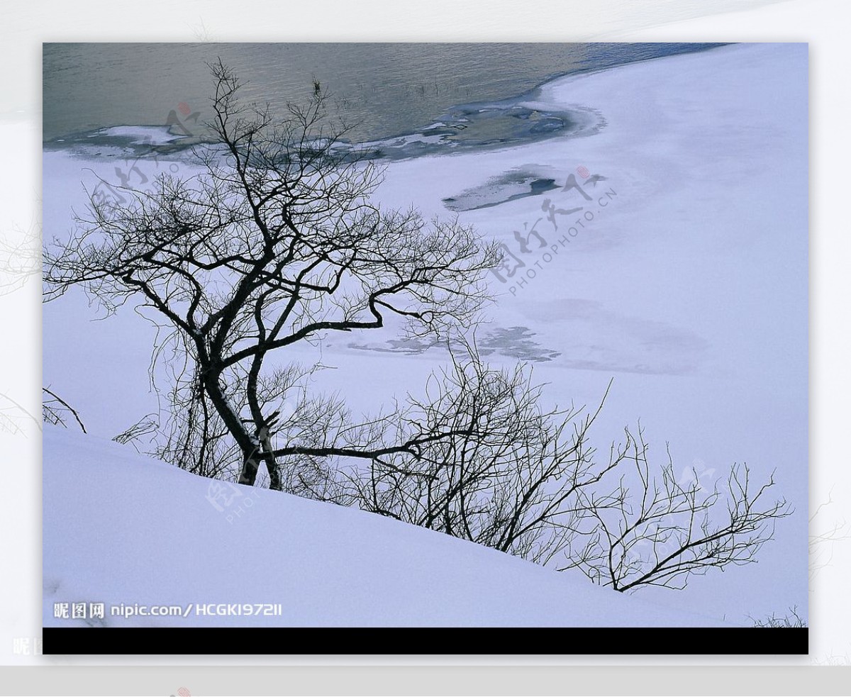 雪景高清图片