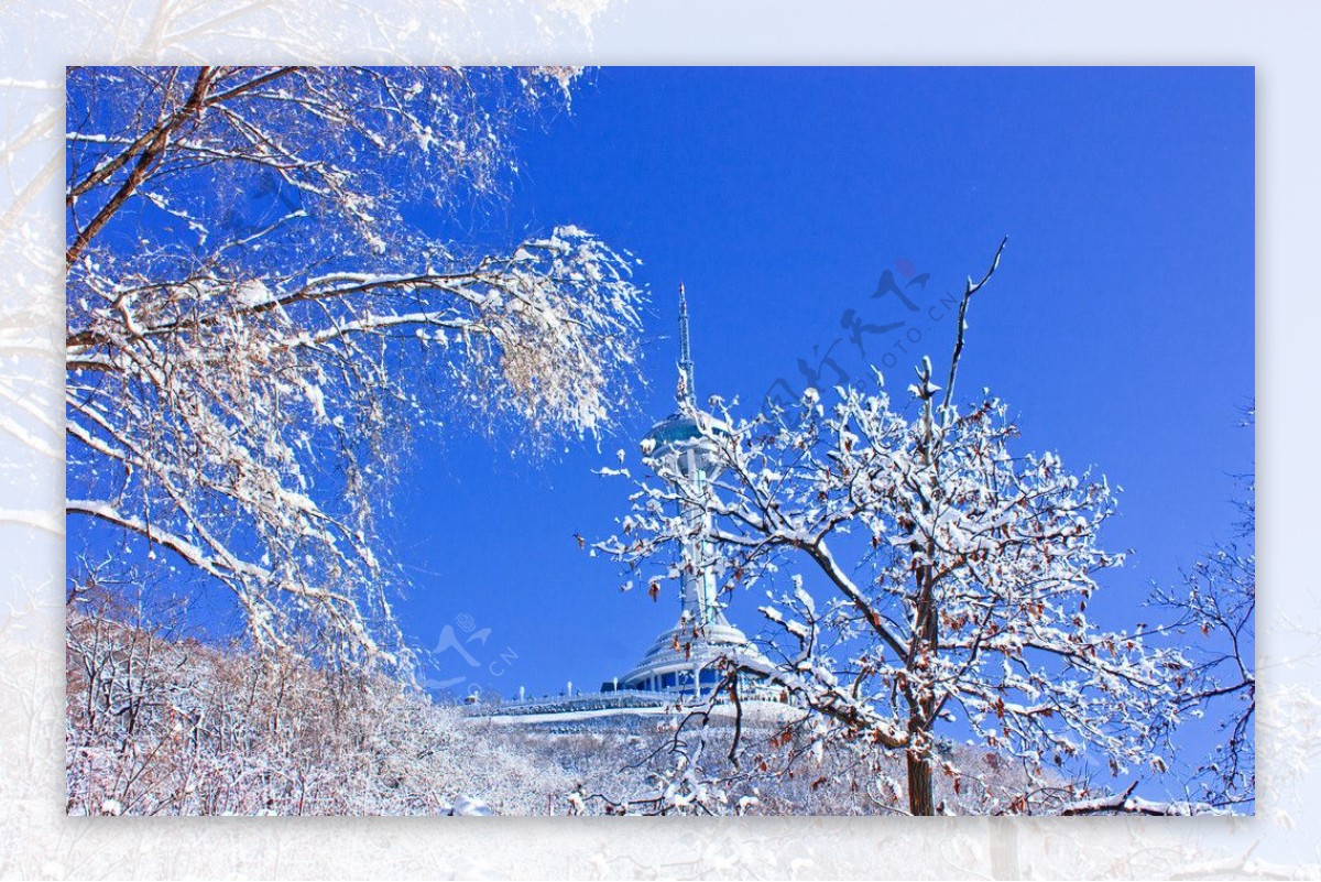 雪后电视塔图片