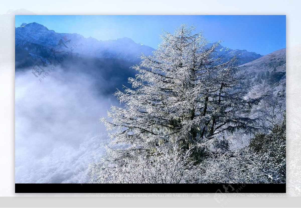 大幅雪山薄雾美景图片