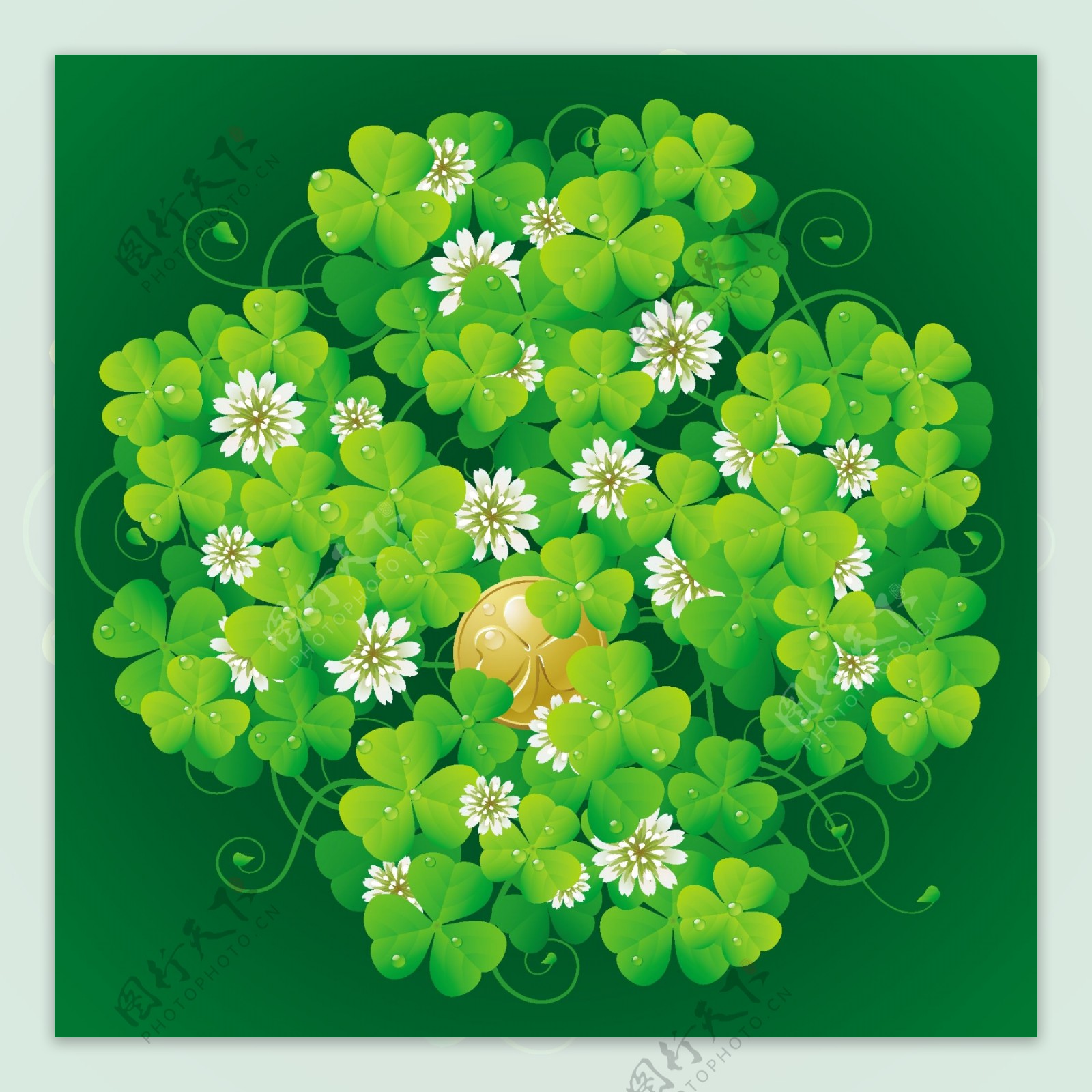 绿叶鲜花水珠水滴图片