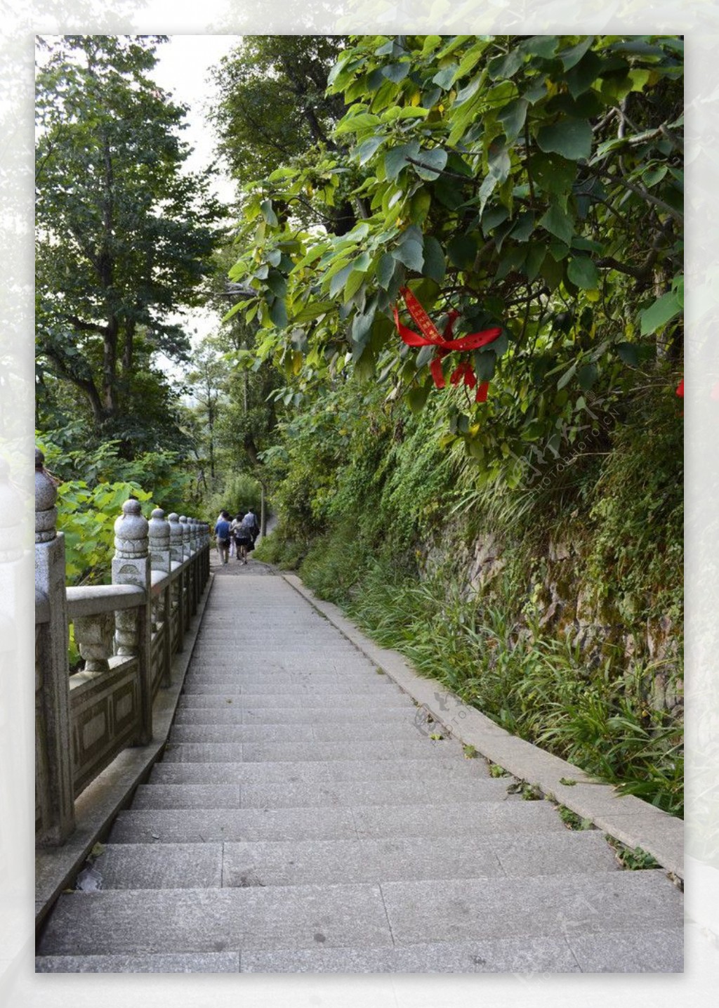郴州苏仙岭阶梯风景图片