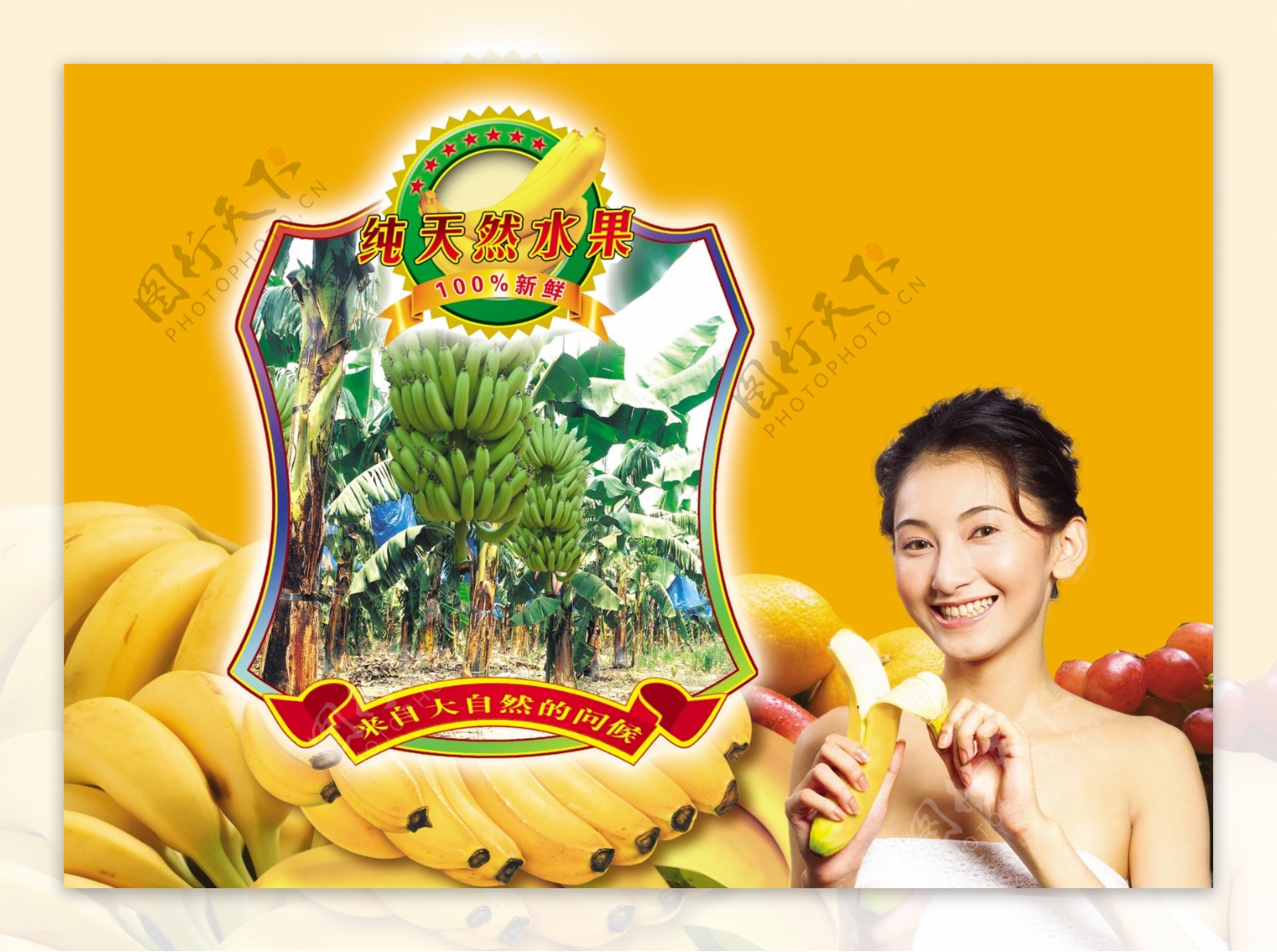 香蕉包装广告素材图片