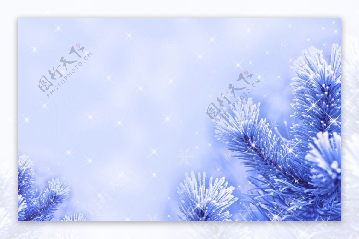 雪花松树背景图片