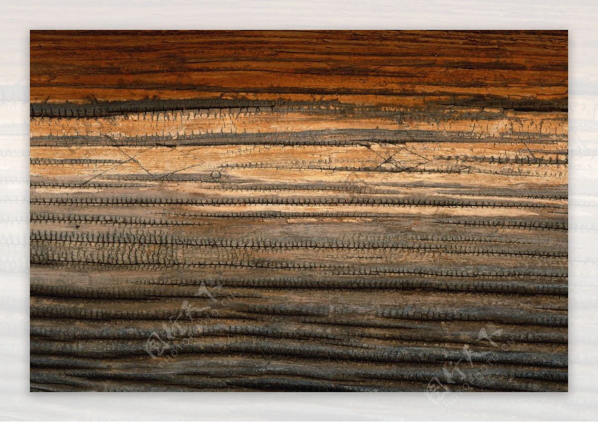 木纹纹理木地板图片