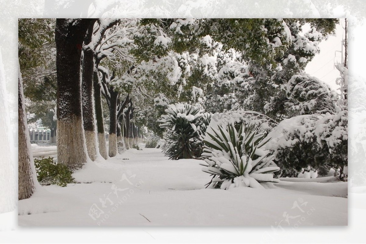 雪景图片