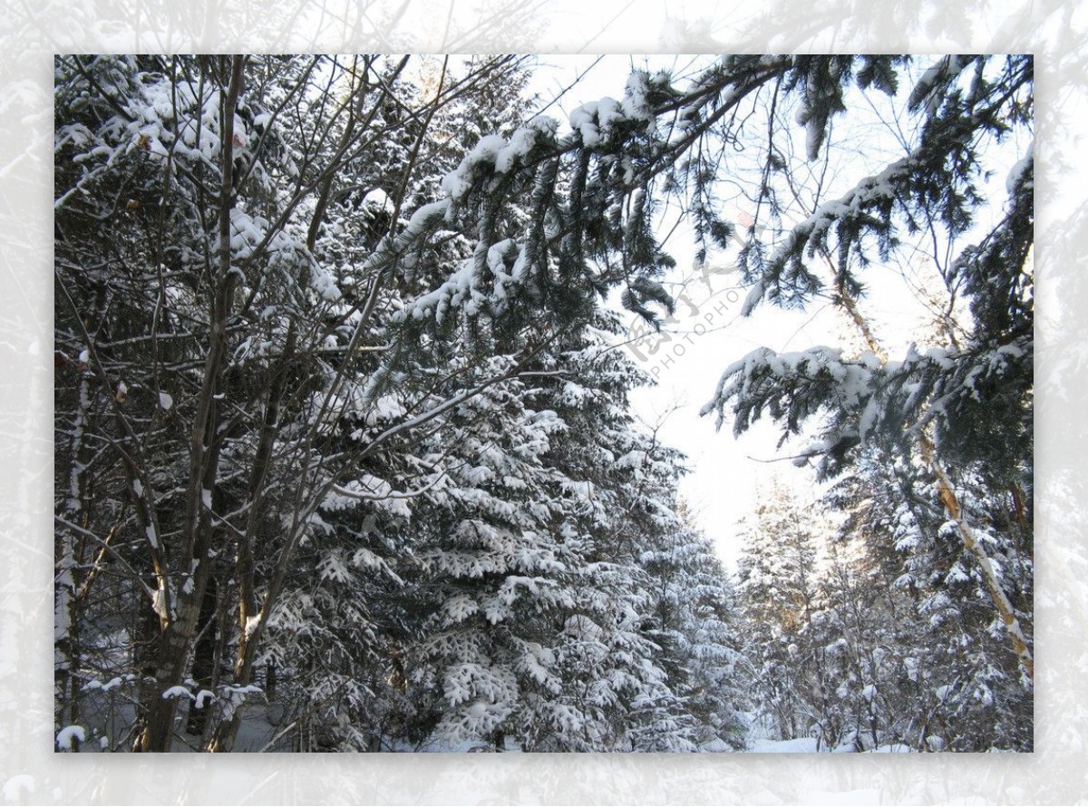 雪乡风景图片