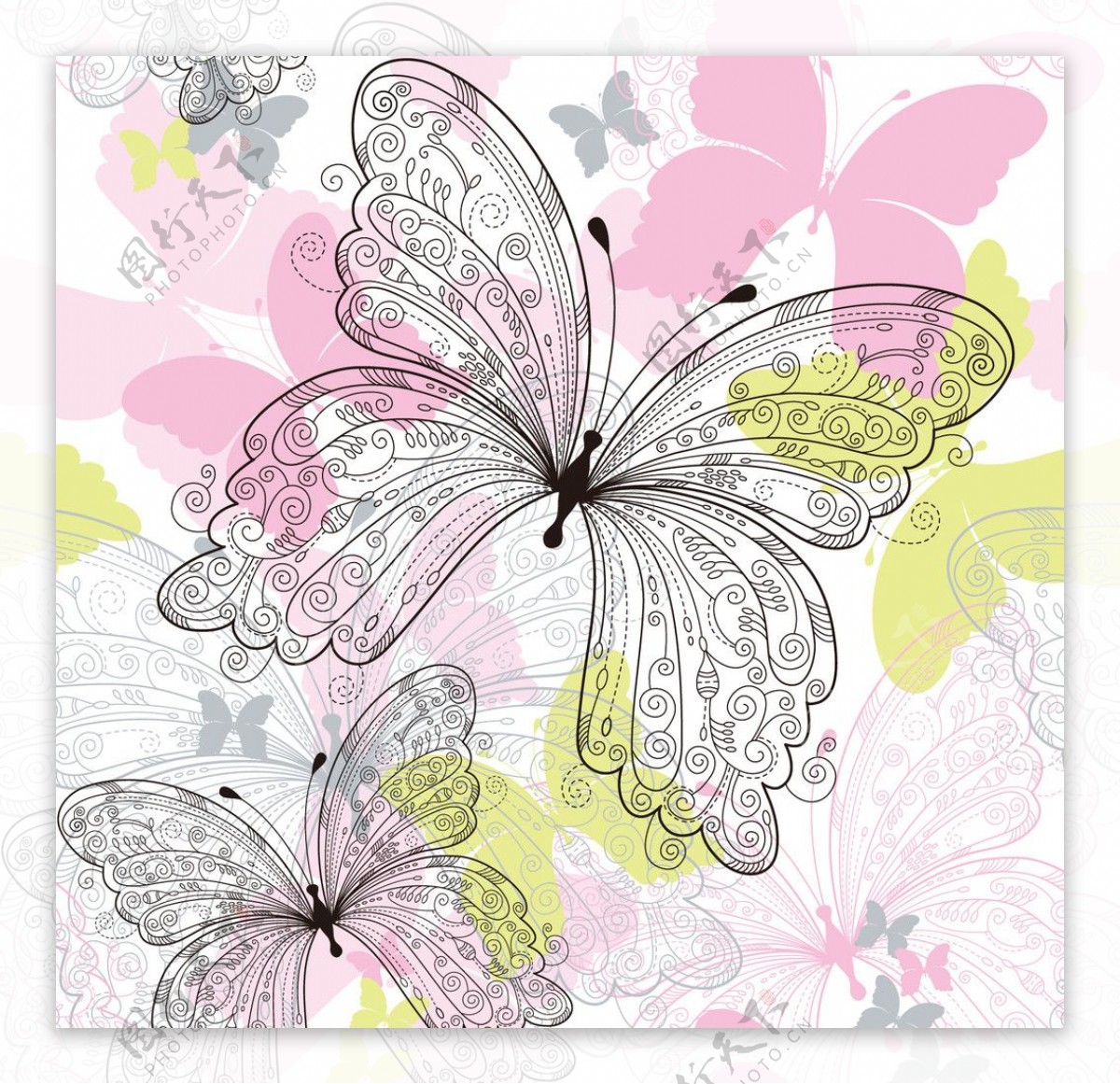 花紋蝴蝶图片