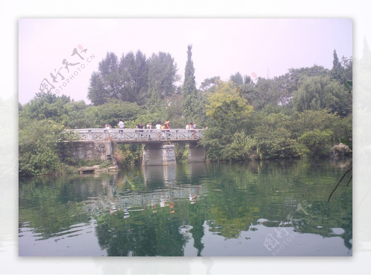 小桥湖水绿树图片