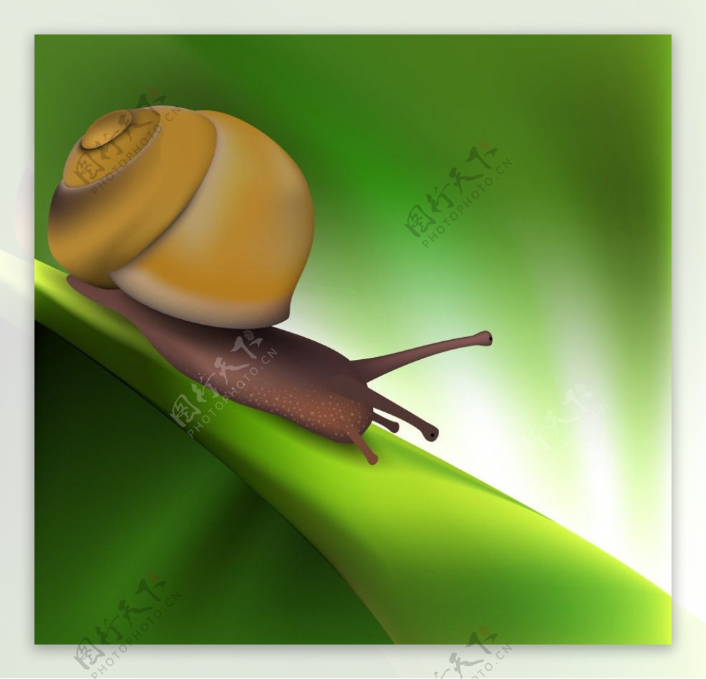 绿色动感线条蜗牛图片