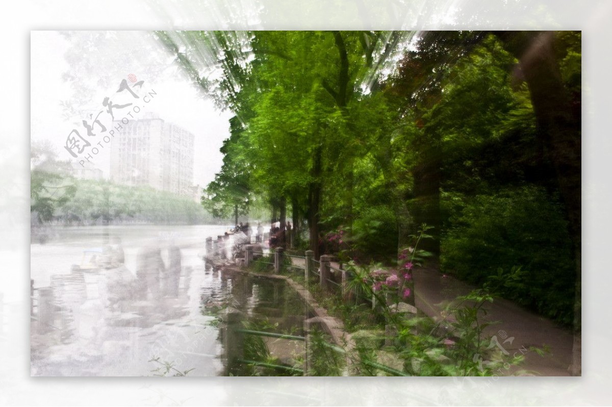 鲁迅公园景致图片
