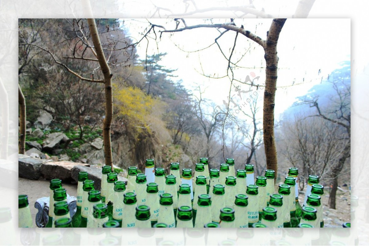 绿色酒瓶图片