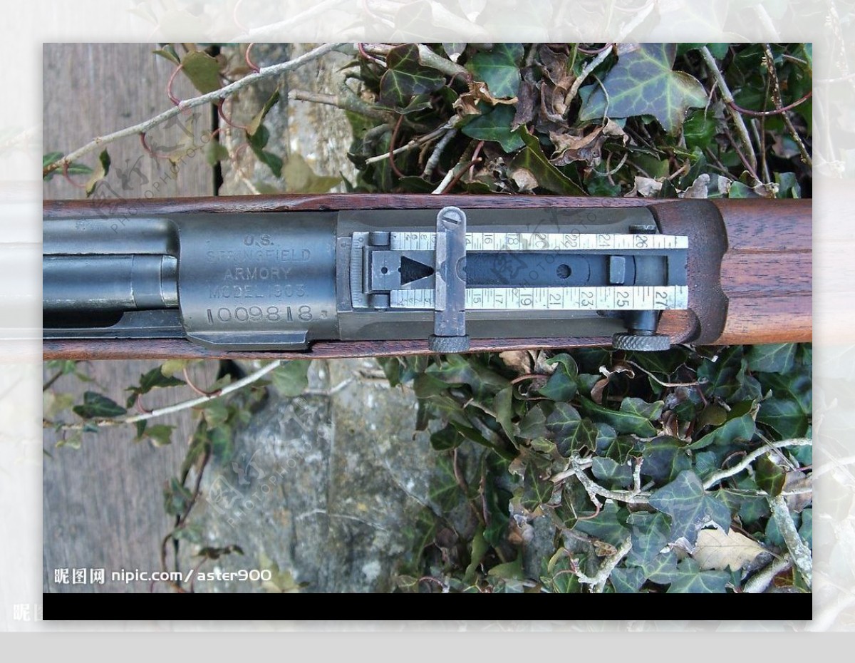 M1903标尺图片