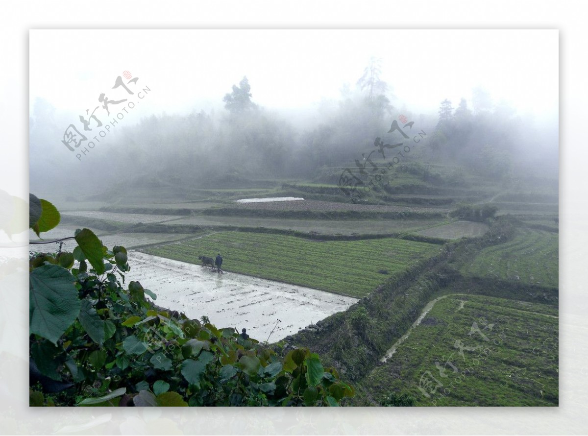 桂林山村乡村小景图片