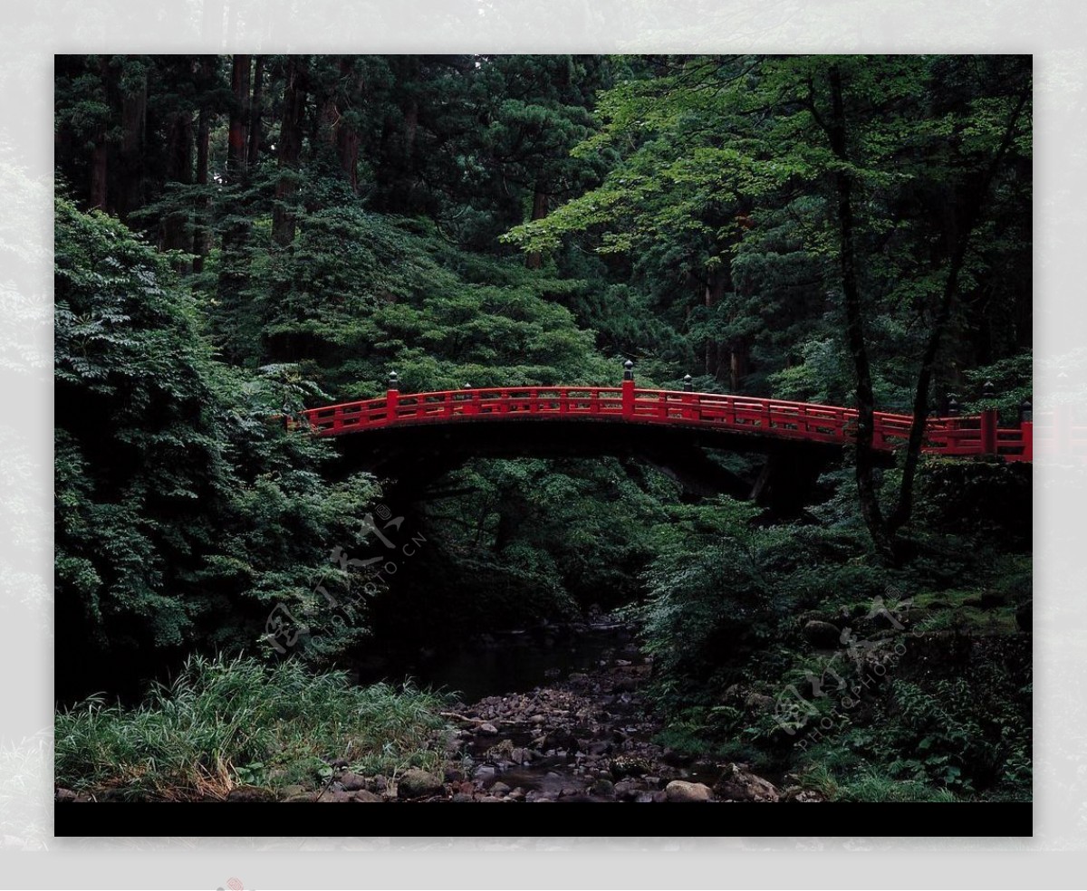 绿树林中的一道红桥图片