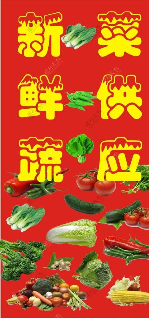 蔬菜供应图片