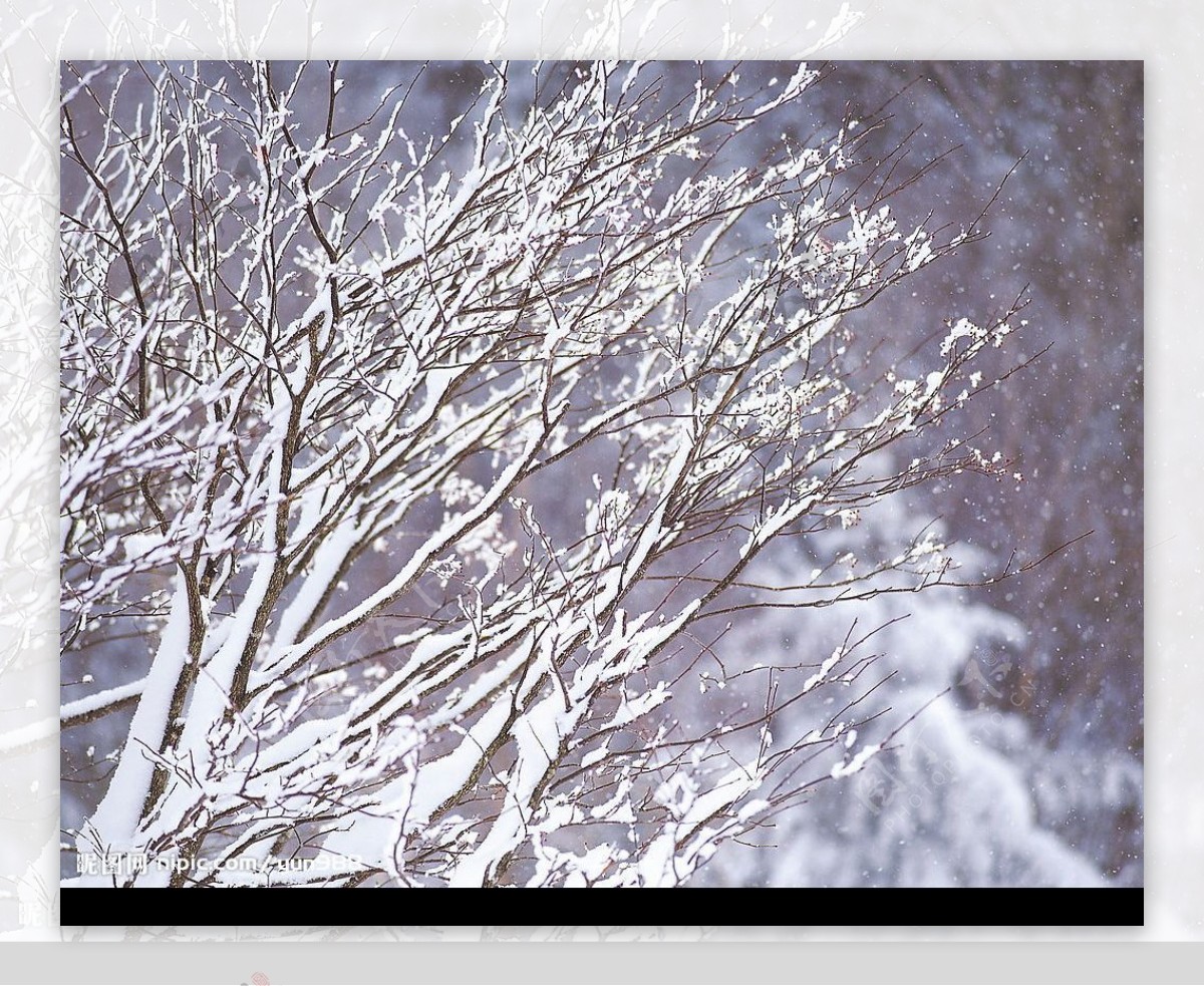 精品底纹素材冬天雪景图片