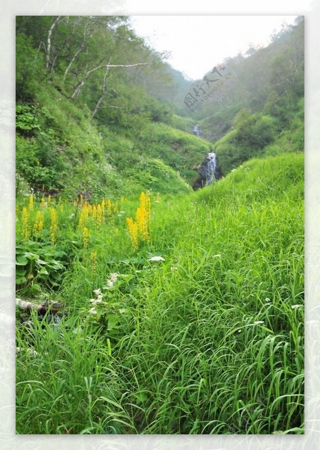 山间流水图片