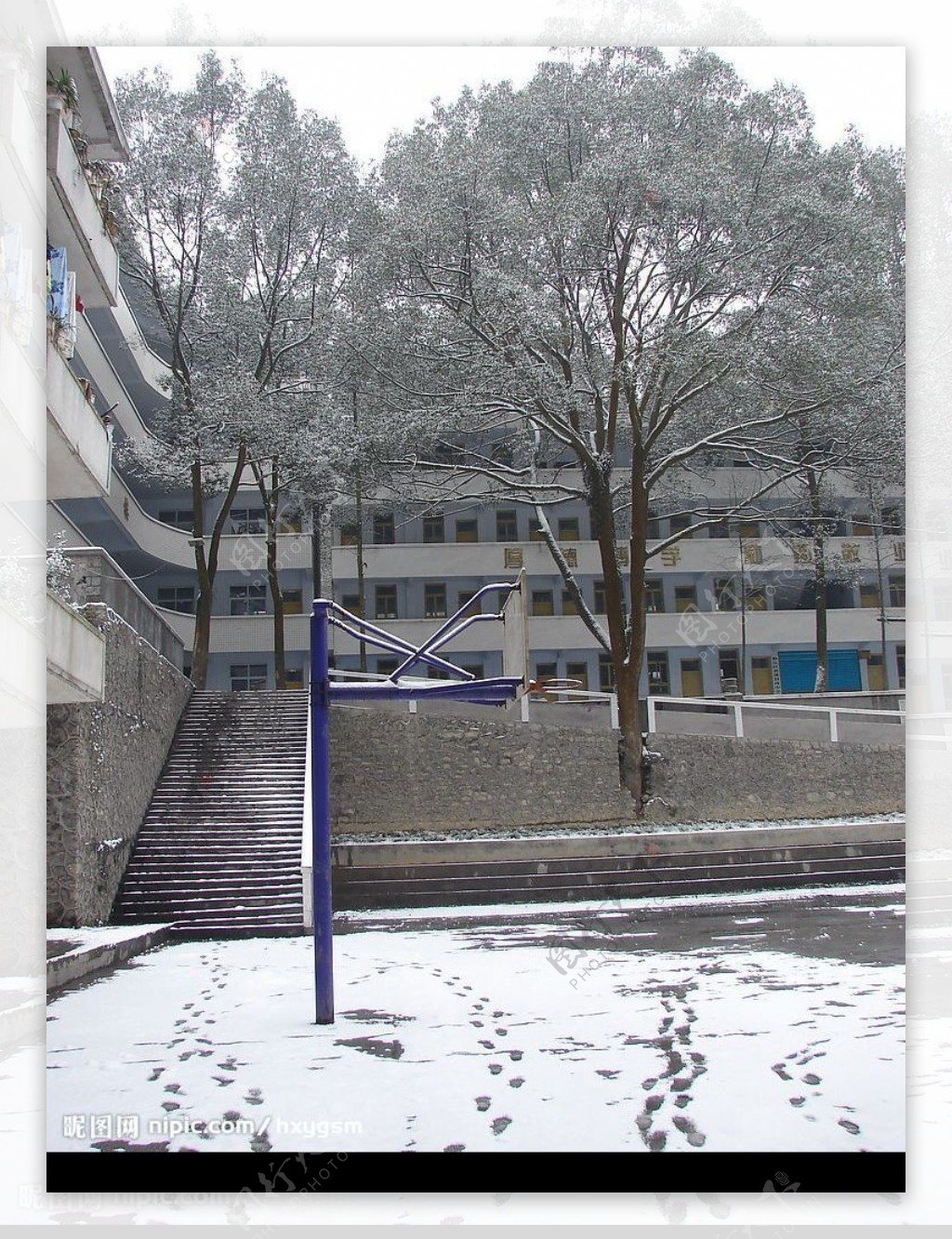 校园雪景图片