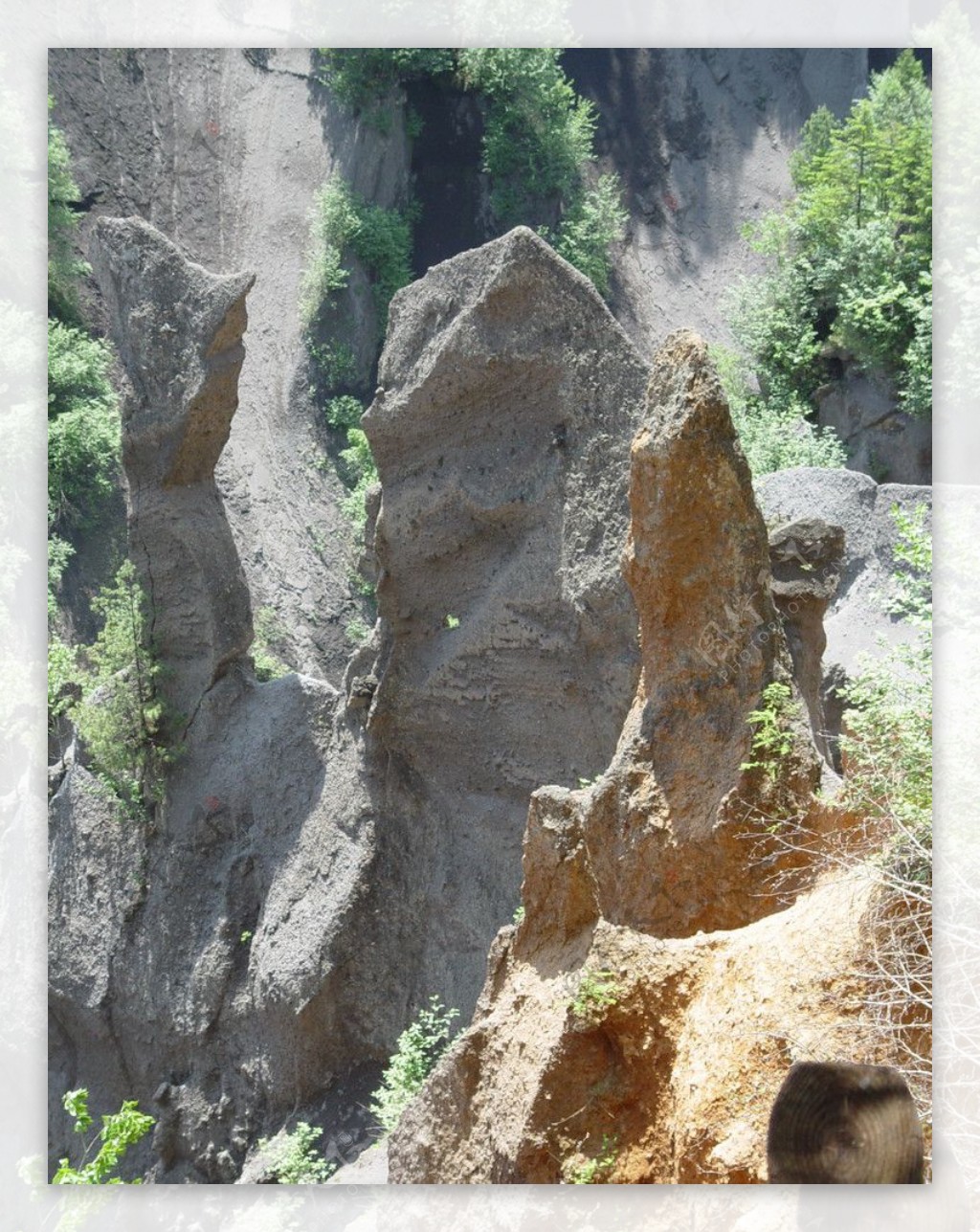 长白山大峡谷溶岩林图片