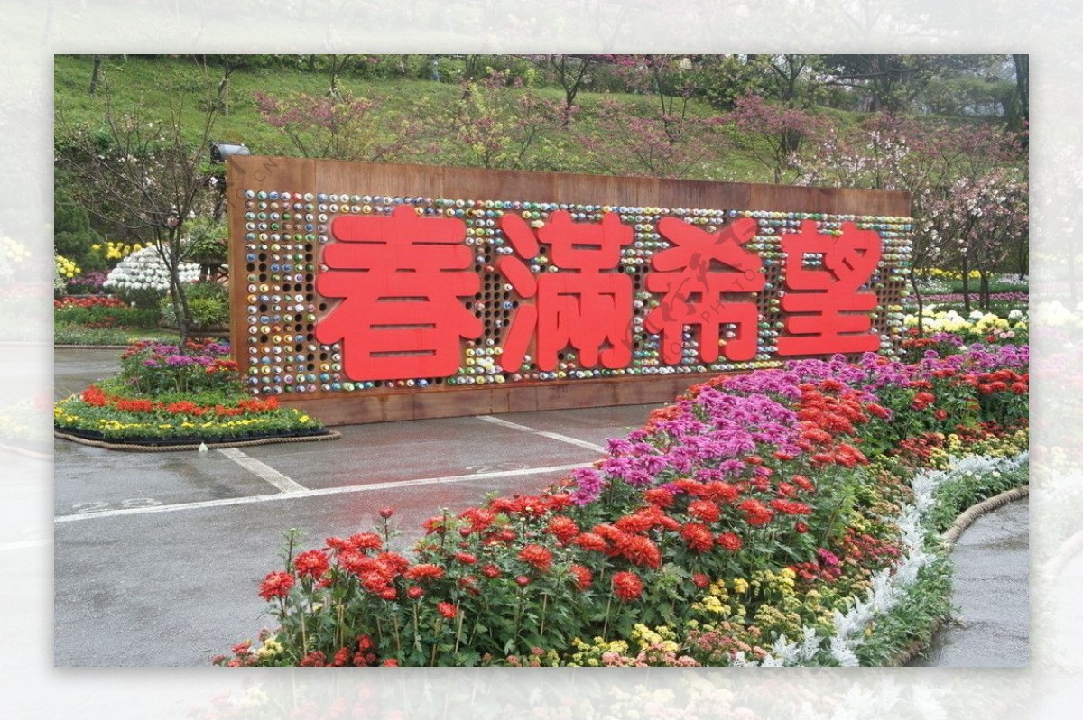 阳明山花季图片