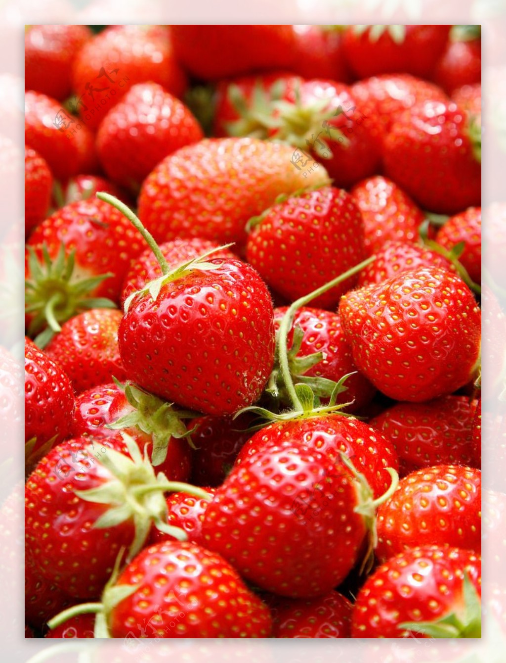 唯美草莓图片