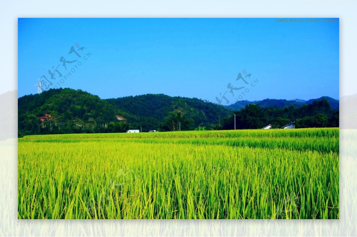 乡村田园风光图片