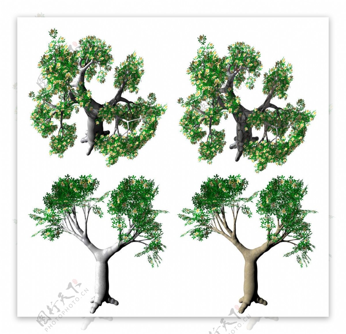 一棵大树 自然风景图片设计元素素材免费下载(图片编号:1070030)-六图网