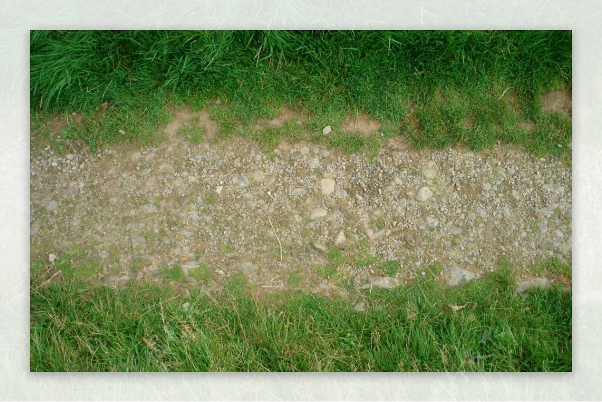 石头草地路贴图图片