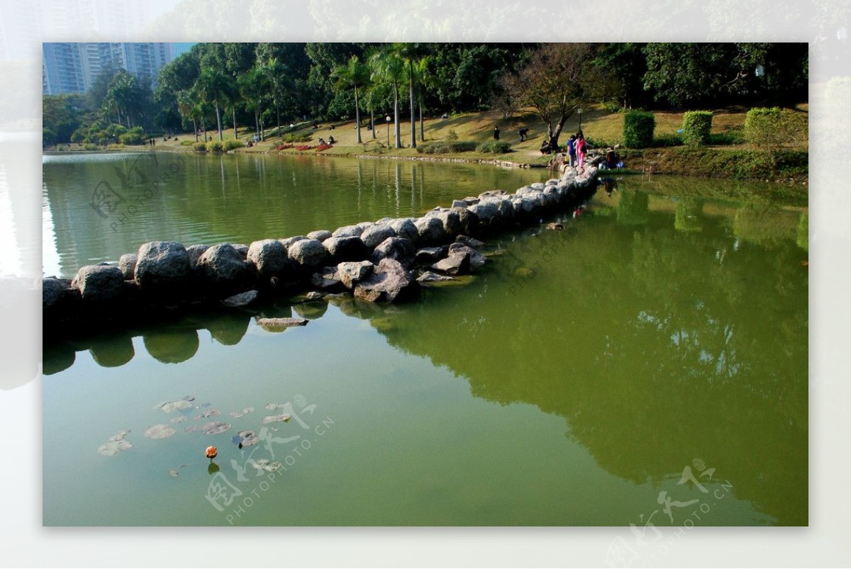 深圳大学文山湖图片