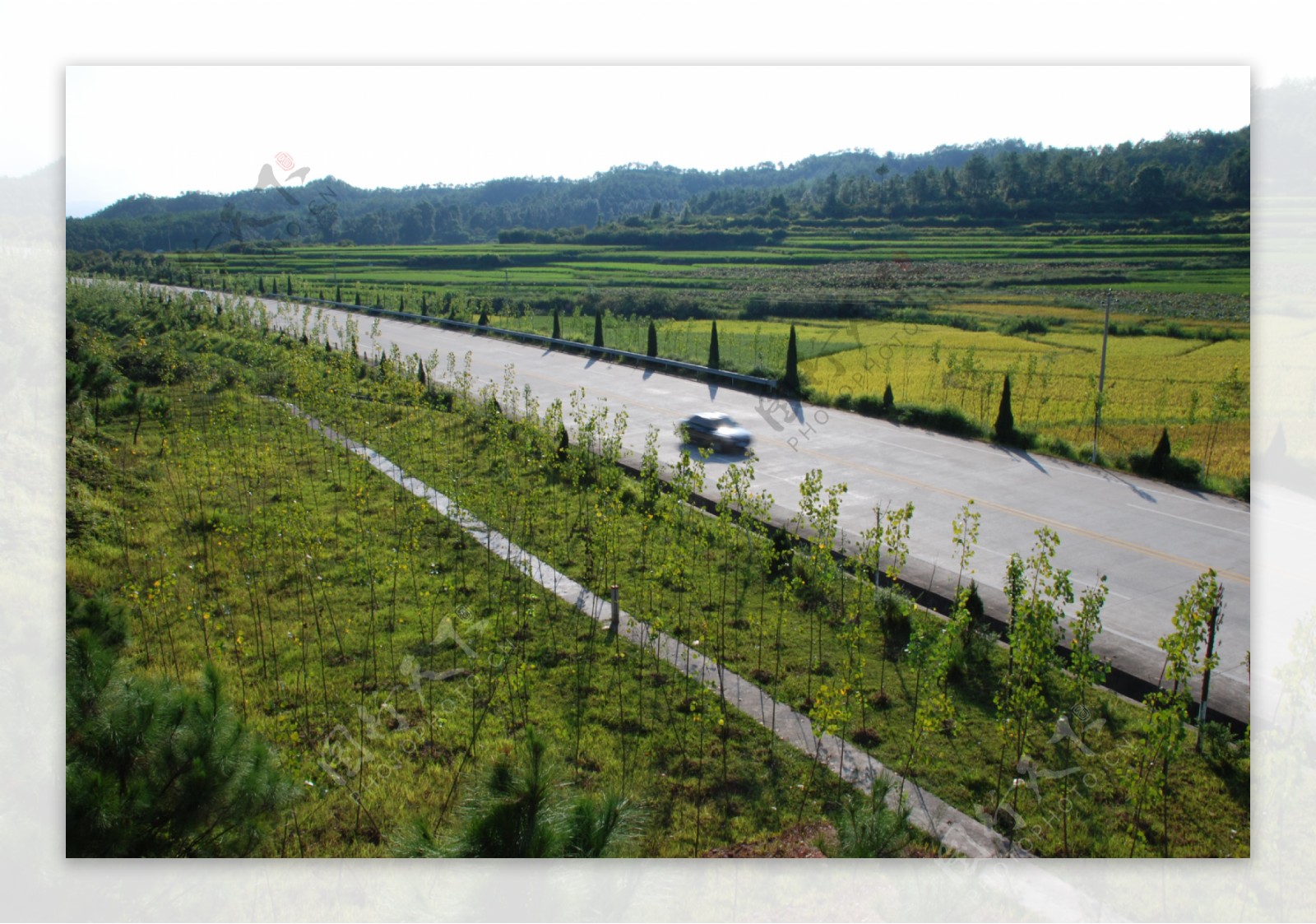 乡村公路边图片素材下