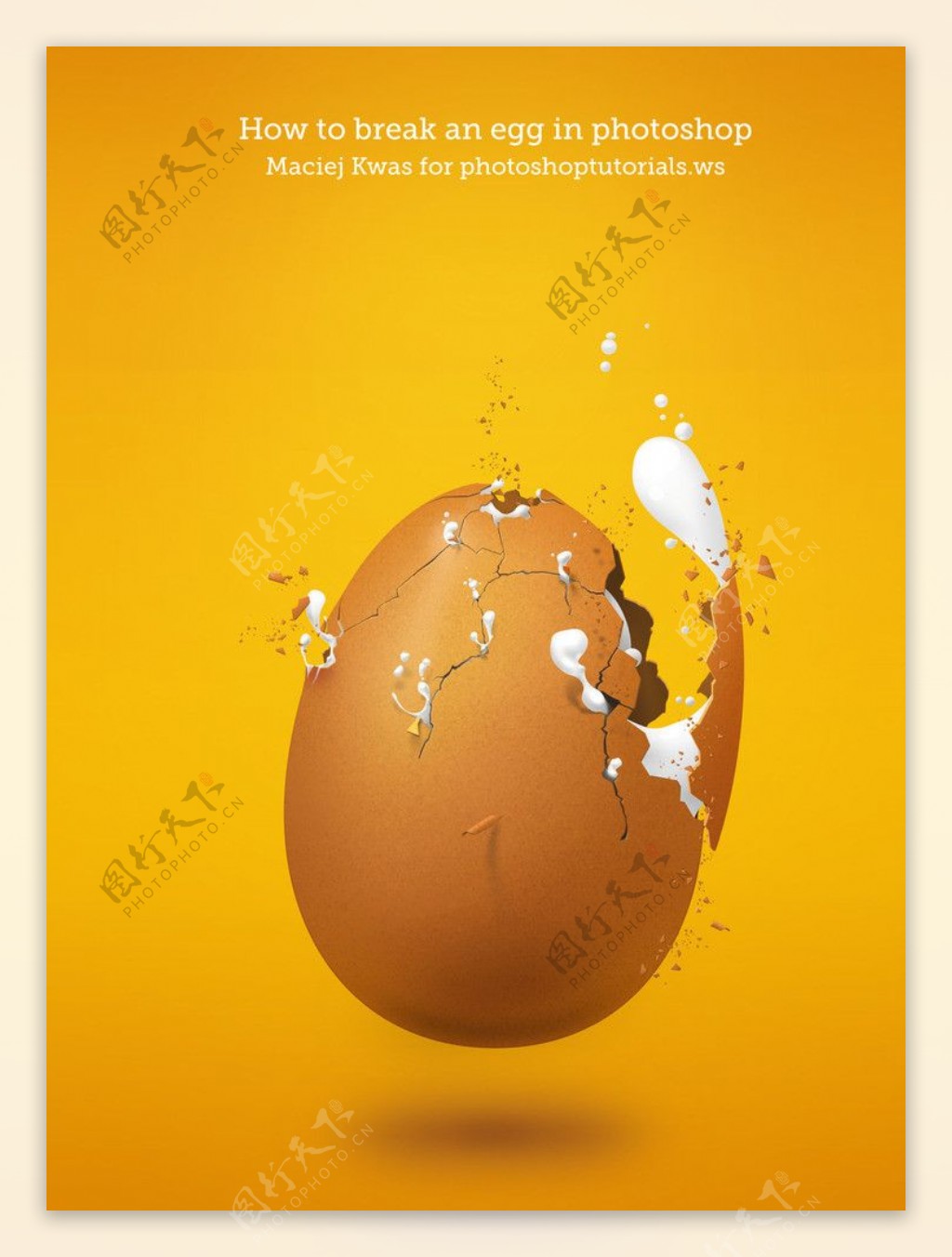 高清鸡蛋图片