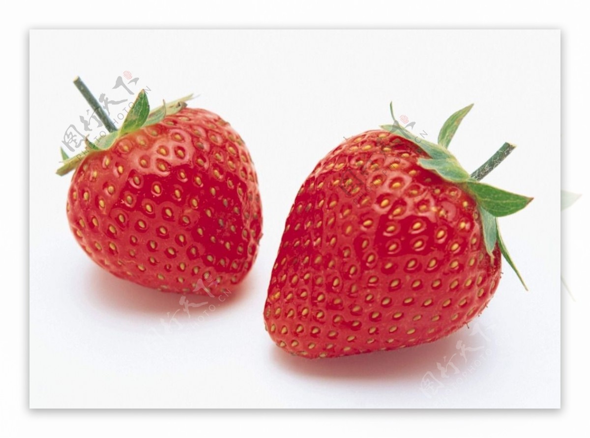 两颗草莓图片