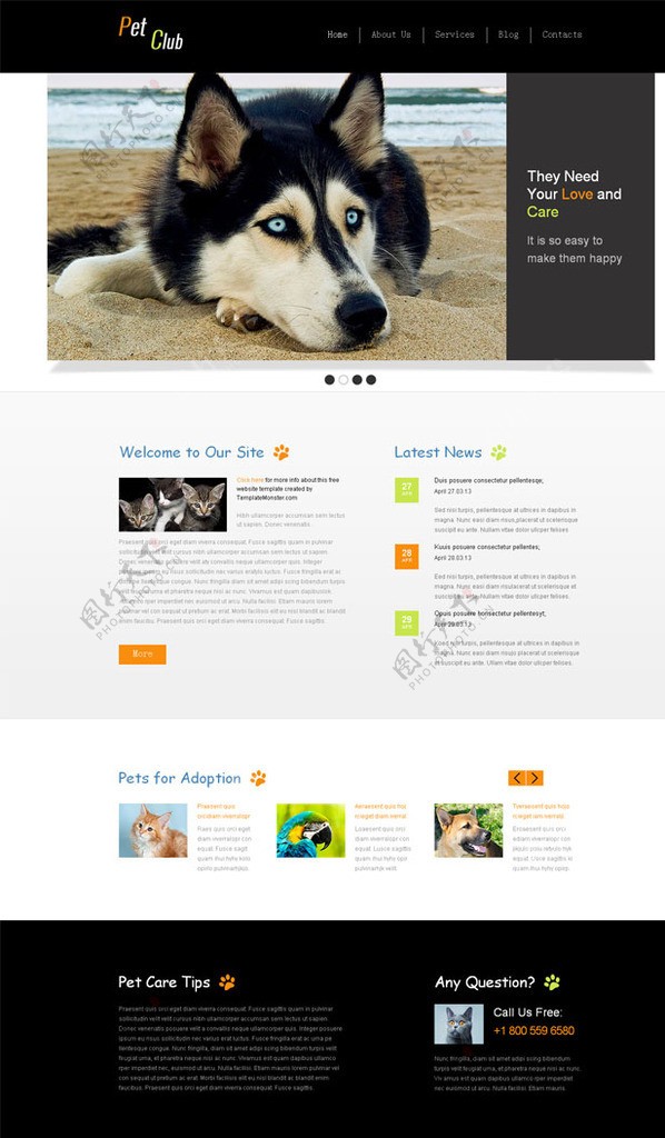 宠物饲养网站模板图片