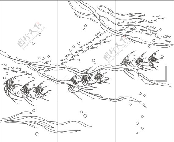 海底世界图片