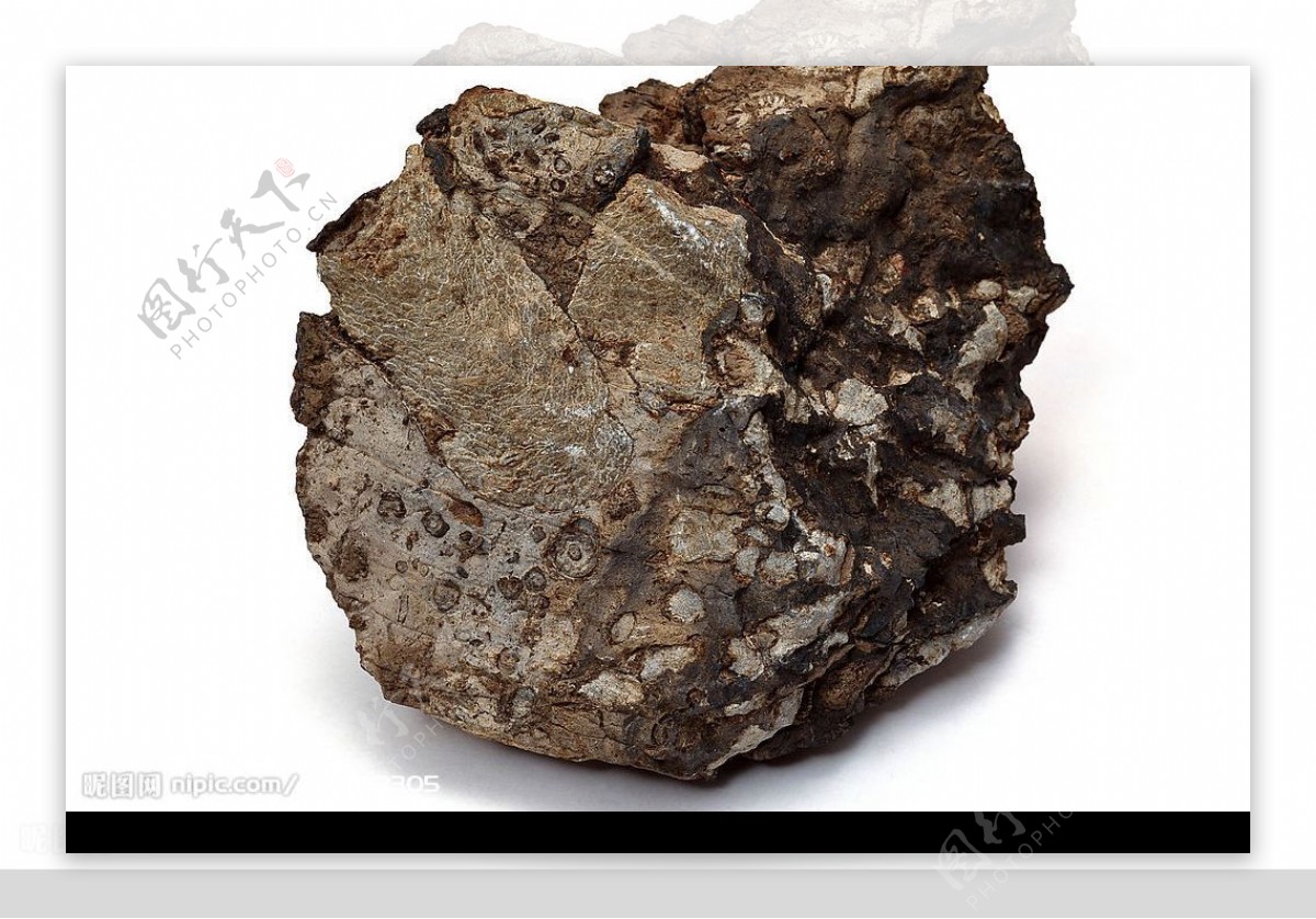 矿物化石图片
