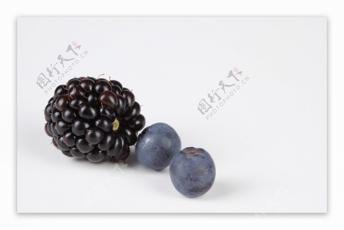 黑莓桑椹图片