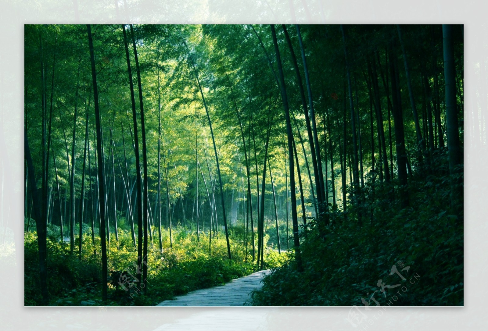 南山竹海：以竹生态文化为主题的景区，来此感受清凉的夏天
