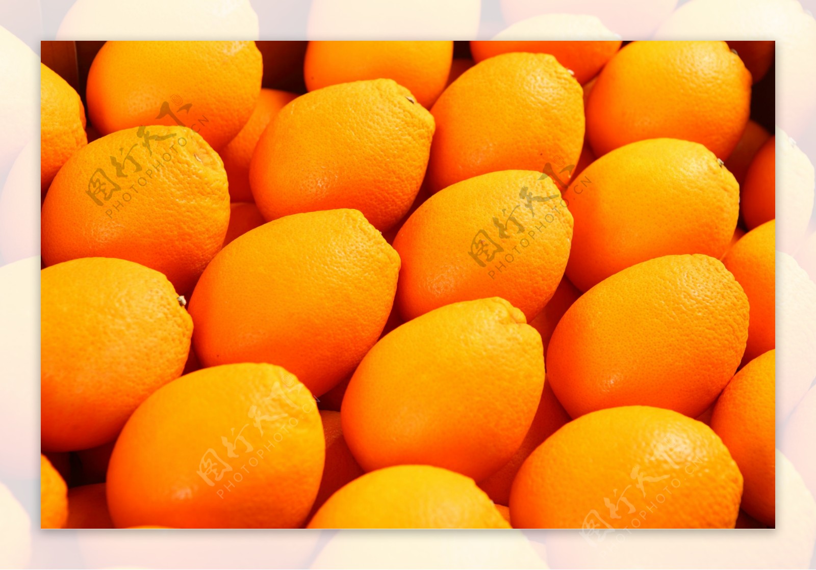 新鲜橙汁切开橙子一杯橙汁橙色液体果汁背景图片下载 - 觅知网