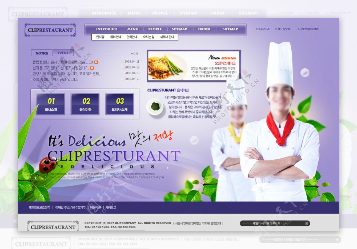 韩国大厨网站模板图片