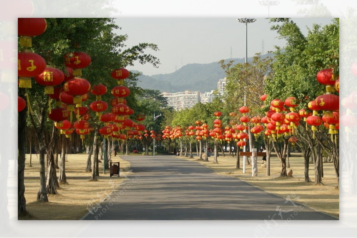 大红灯笼高高挂图片