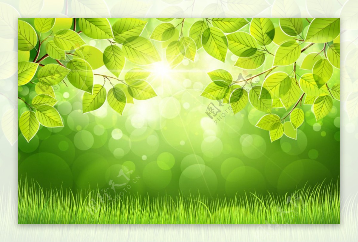 梦幻春天绿叶光晕背景矢量素材图片