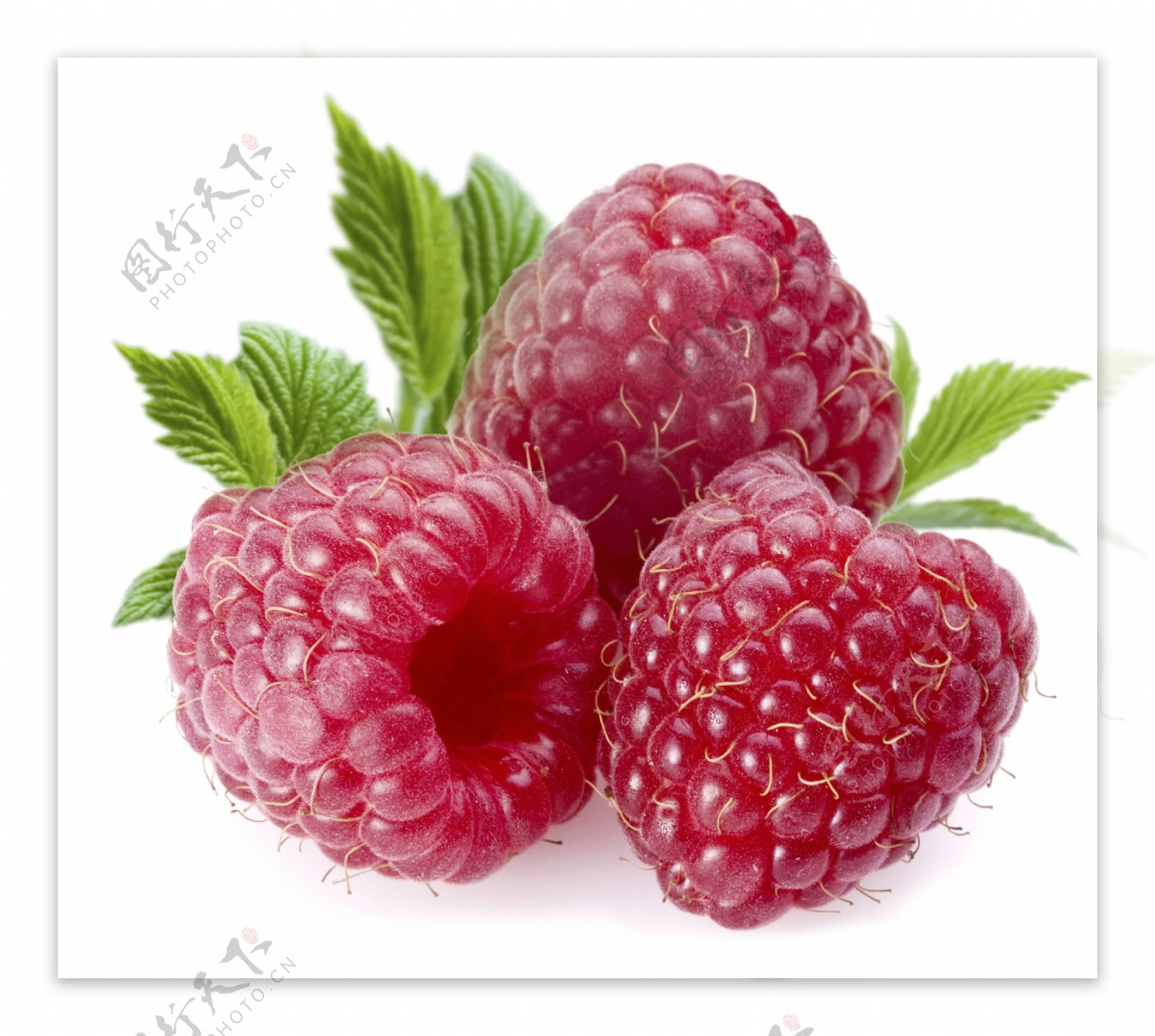 野草莓图片